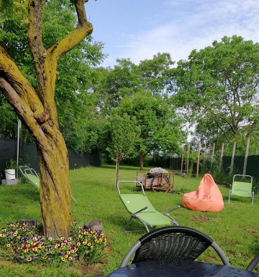 Zucchero Sui Baffi- Food Lovers B&B Mantova Exteriér fotografie